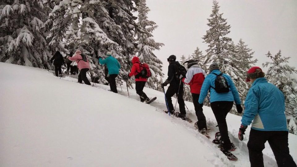 Pessoas caminhando na neve com raquetes de neve, e ao fundo é possível ver arvores cobertas de neve.