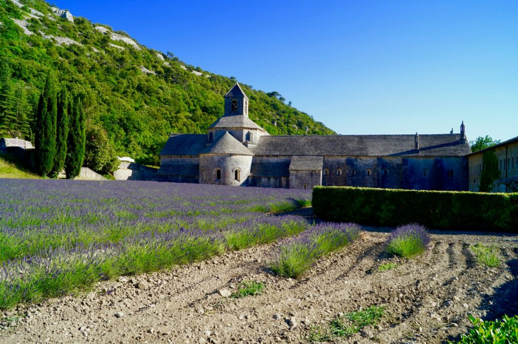 Campo de lavanda florido em Aix-en-Provence, ao fundo uma casa antiga.